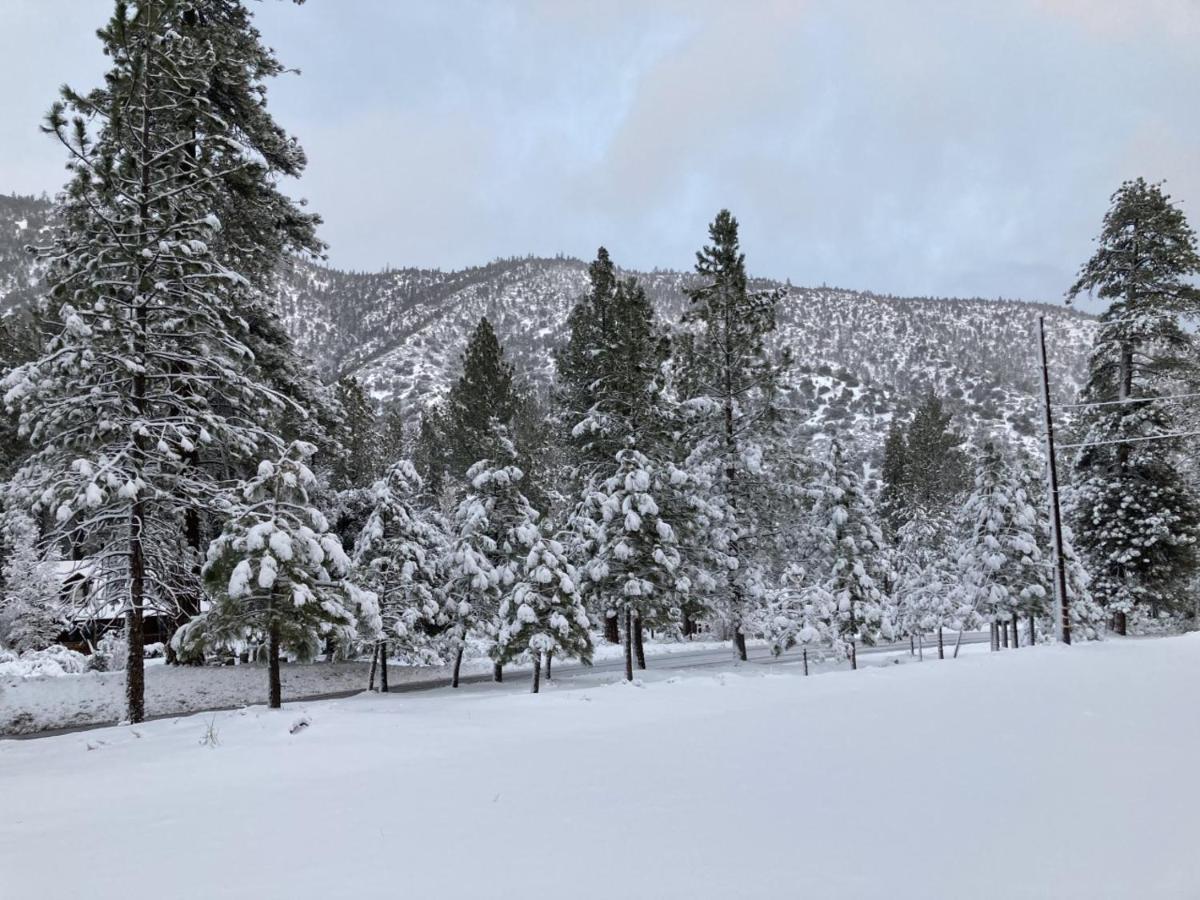 The Old Bear Bnb Pine Mountain Club Екстер'єр фото