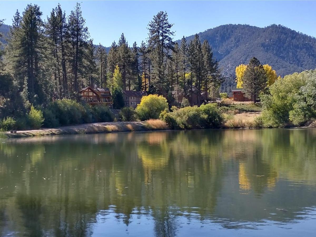 The Old Bear Bnb Pine Mountain Club Екстер'єр фото