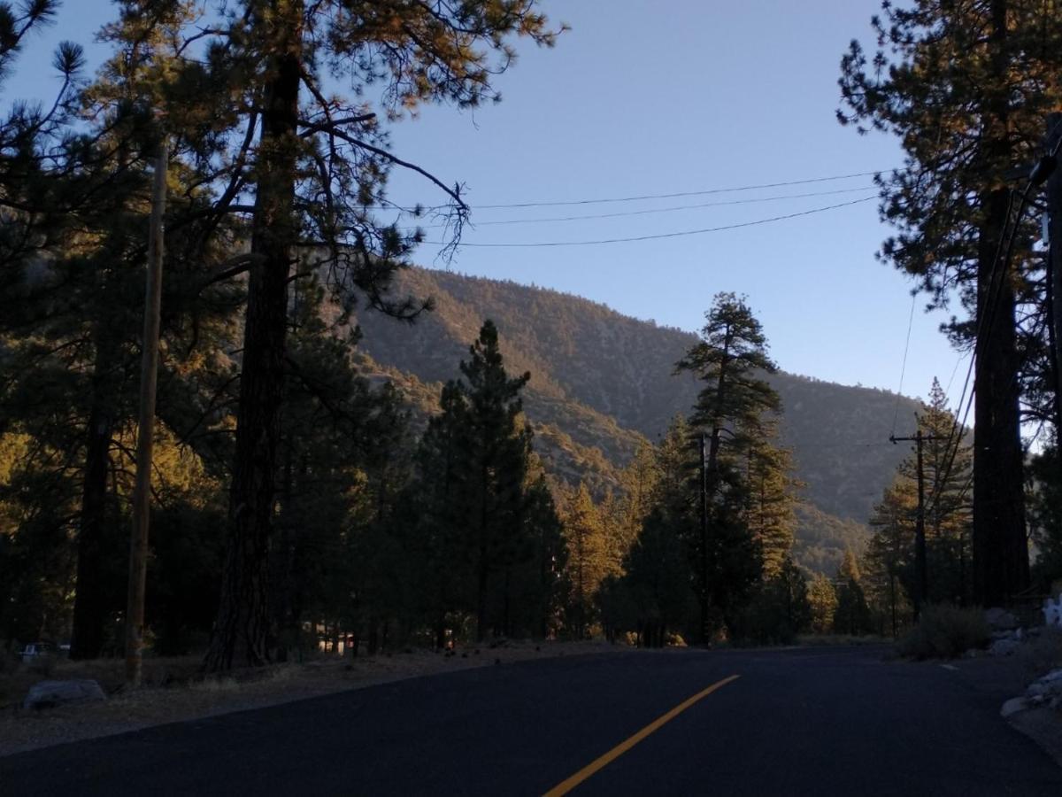 The Old Bear Bnb Pine Mountain Club Екстер'єр фото