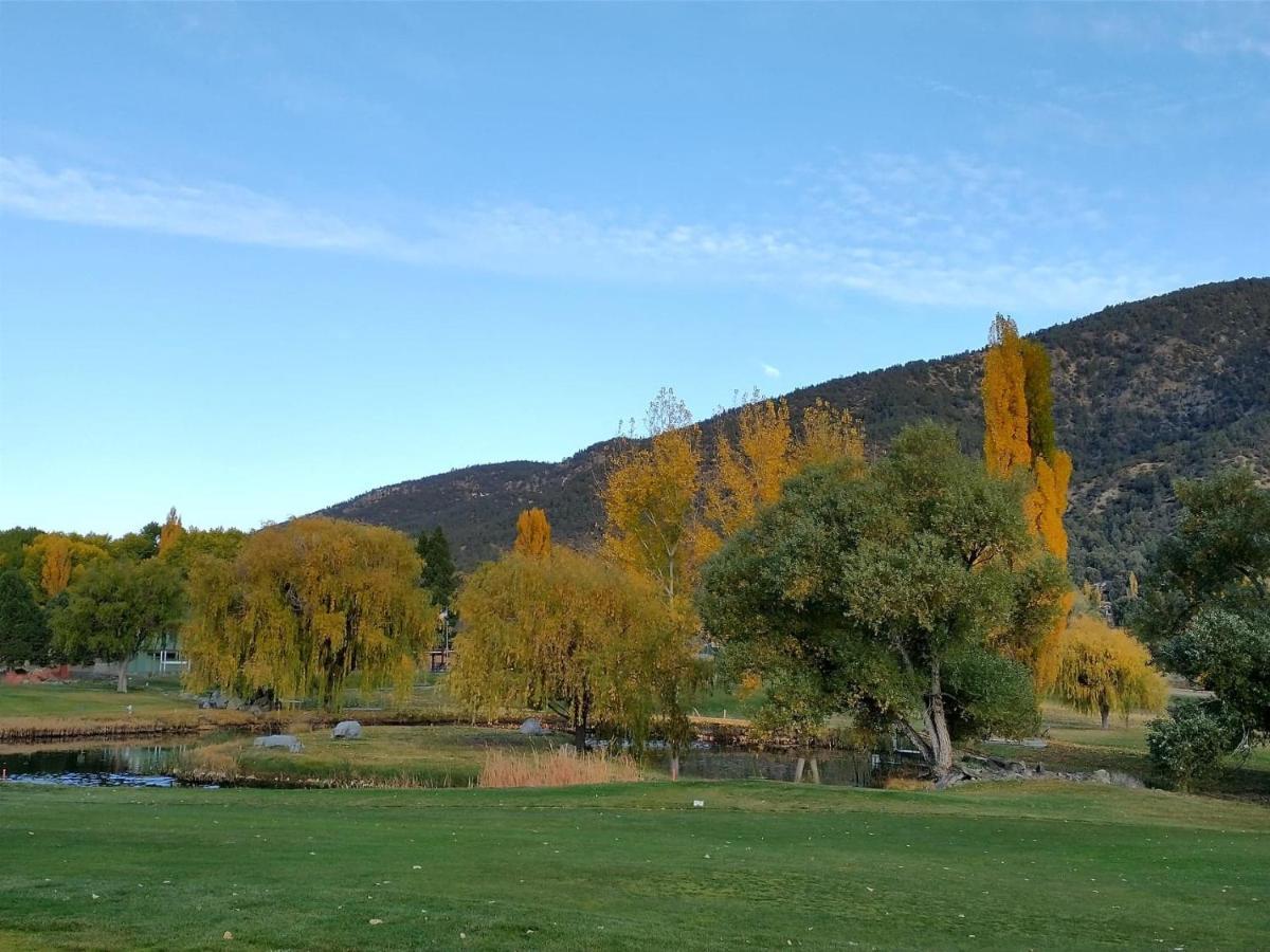 The Old Bear Bnb Pine Mountain Club Екстер'єр фото